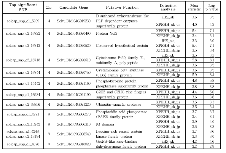 The candidate genes containing top significant SNPs detected using iHS and XP-EHH analyses