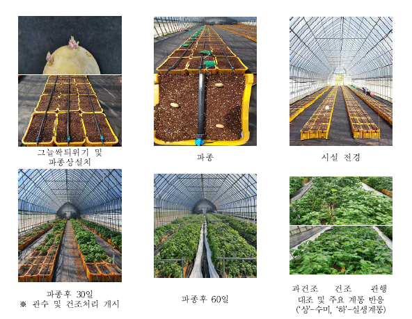 기내 선발 계통의 건조처리 수준별 평가 수행 전경