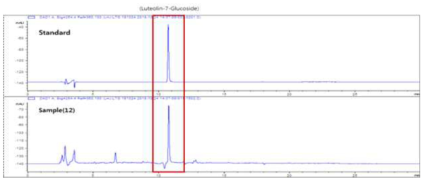 HPLC를 이용한 Luteolin-7-Glucoside 정량분석
