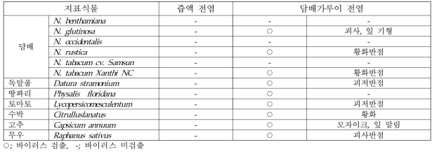 CCYV의 식물체 즙액 및 담배가루이 지표식물 전염 조사