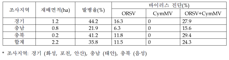 심비디움에서 바이러스병 진단