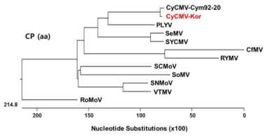 외피단백질의 amino acid 염기서열을 이용하여 phylogenic tree 분석