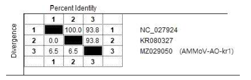 삽주 분리주(AMMoV-AO-kr1)의 유전자은행에 등록된 다른 AMMoV 분리주와의 염기서열 상동성