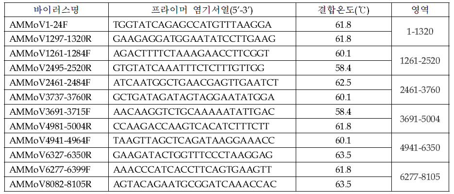 삽주약한모틀바이러스(AMMoV) 프라이머목록