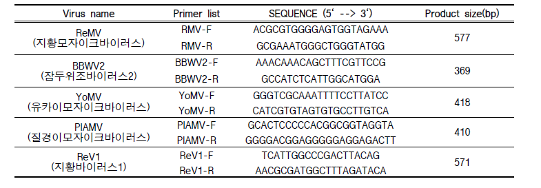 지황바이러스 PCR 검정 Primer list
