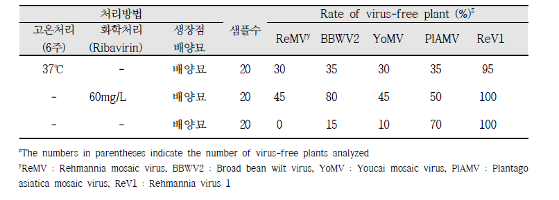 기내 배양묘의 고온처리 및 화학처리 방법별 바이러스 검정 비교(RT-PCR)