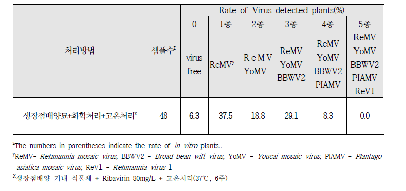 복합 바이러스 제거처리에 따른 검정 결과(RT-PCR)