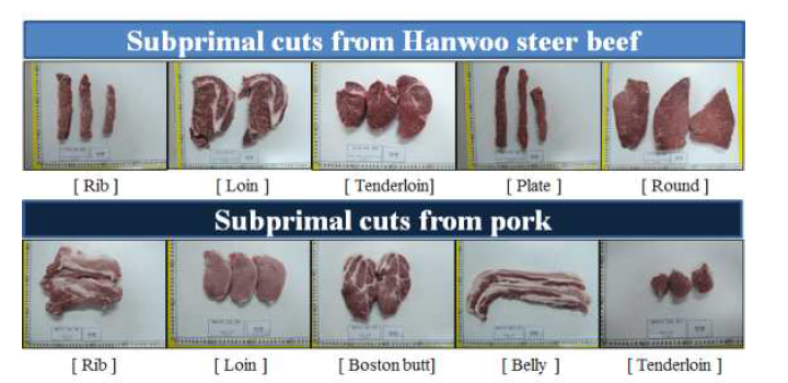 저장안정성 평가를 위한 소고기와 돼지고기의 부위별 사진
