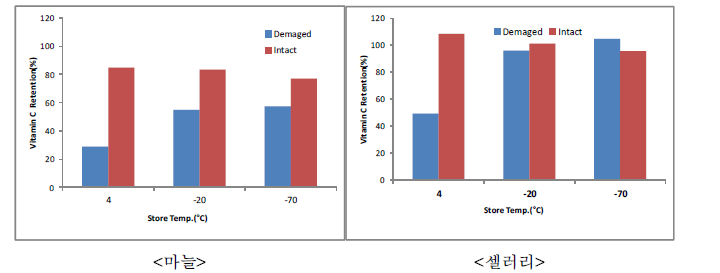 마쇄 처리와 저장온도에 따른 비타민 C 함량 비교