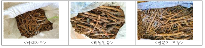 삼백초 저장 중 상태