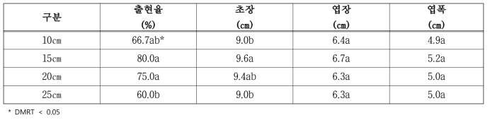 어성초 재식간격 및 정식깊이에 따른 지상부 생육