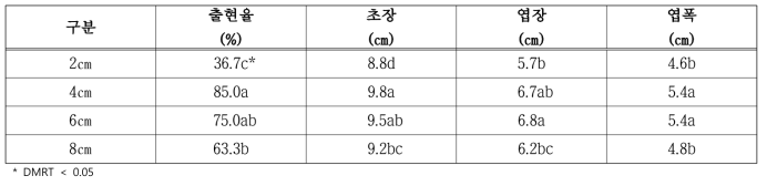 어성초 재식간격 및 정식깊이에 따른 지상부 생육