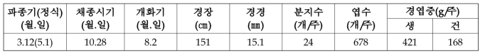 배초향 현장실증 생육특성