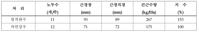 관수처리방법에 따른 천궁 생육특성(2019년)