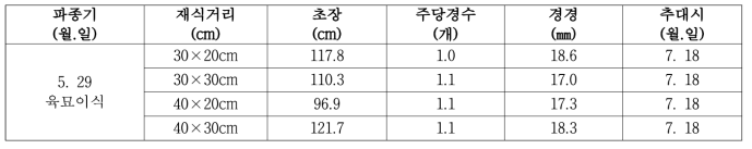 육묘 이식구의 재식 밀도별 지상부 생육