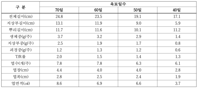 육묘일수별 유묘 생육