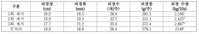 적심 횟수별 생육 및 괴경 특성