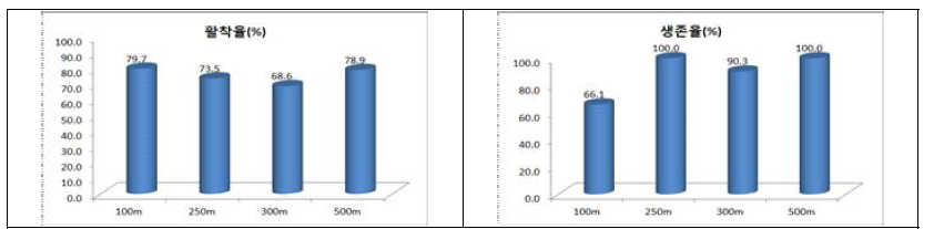 지대별 묘 정식 후 활착율(6월), 폭염후 생존율(9월) 비교(’18)