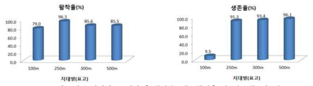 시호 지대별 묘 정식 후 활착율(6월), 폭염후 생존율(9월) 비교(’18)