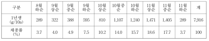 시호 2년생 종자 등숙 시기별 채종량 (음성, ’19)