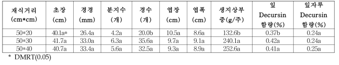 재식거리별 일당귀 지상부 생육 특성(‘17)