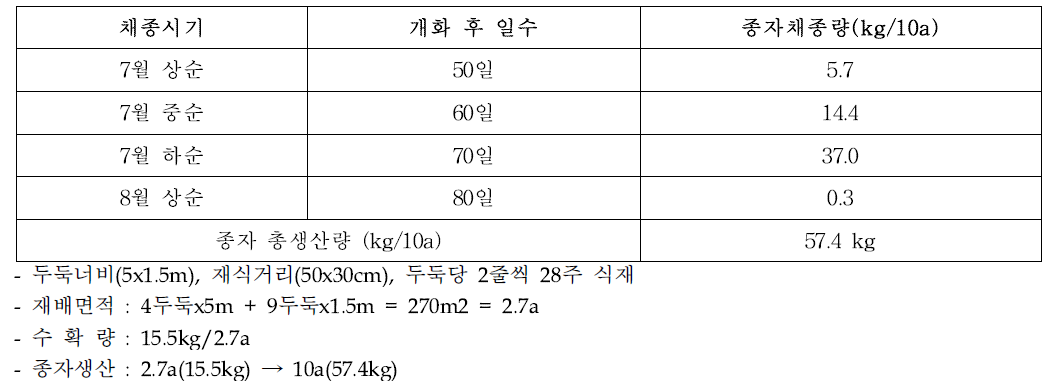 일당귀 종자생산량(‘18)