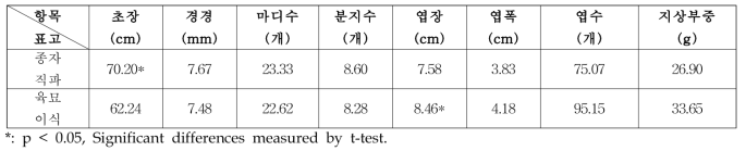 식재 방식별 잇꽃 지상부 생육 특성(‘18)