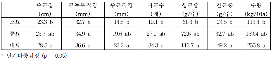 묘 크기별 고본 지하부 특성(‘19)