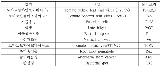 토마토 병저항성 분자표지 검정목록(기획조정과, 13종)