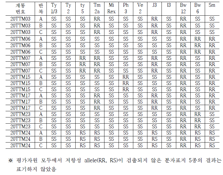 풋마름병 저항성 선발계통 대상 분자표지 검정결과(부농종묘)