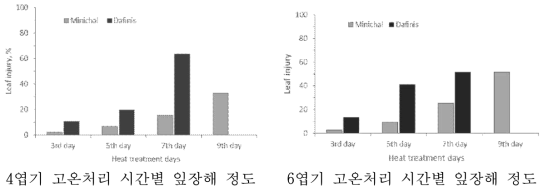 생육단계별 고온처리 기간별 잎 장해 정도