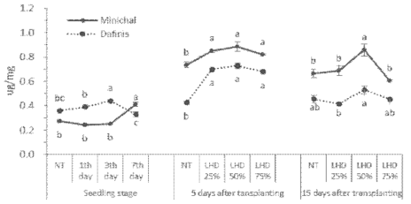 4-5엽기 고온 처리 기간에 따른 생육단계별 프롤린 함량의 변화 비교