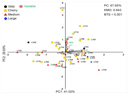 Biplot for the first two principal components (PC1 and PC2) was shown using the principal component analysis (PCA) with 6 physiological traits and 35 tomato accessions depending on fruit types including wild (black round circle), cherry (yellow square), medium (red triangle), and large (blue diamond) fruits under LT condition. The red round circle with horizontal lines and the arrow indicate the variables and the direction of vectors, respectively. Leaf width (LW), leaf length (LL), stem diameter (SD), number of fruits (NFR), fruit setting (FS), and fruit yield (FY)