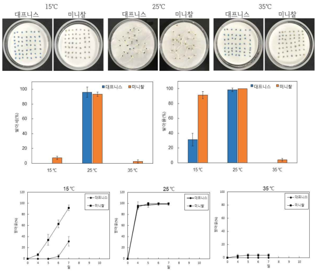 토마토 ‘대프니스’와 ‘미니찰’ 종자 저온, 적온 및 고온에서 발아세와 발아율 조사
