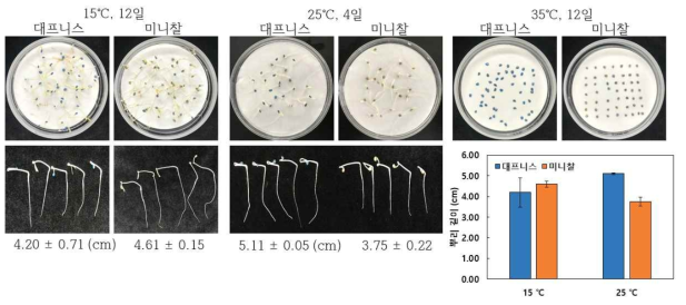 토마토 ‘대프니스’와 ‘미니찰’ 종자 저온, 적온, 고온처리하 뿌리 생육 및 발달