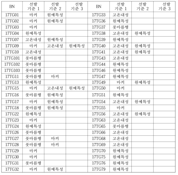 1차년도 선발기준에 따른 선발된 총 자원수 : 52점