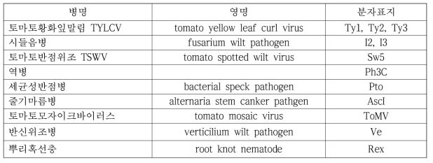 토마토 병 저항성 마커 검정용 분자표지