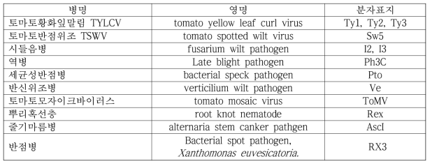 토마토 병 저항성 검정용 분자표지 (13종)