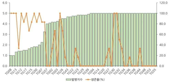 평가자원들의 유묘기 풋마름병 발병지수 및 포장 생존율 비교