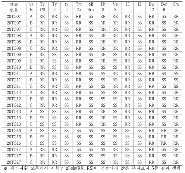 풋마름병 저항성 선발계통 대상 분자표지 검정결과(부농종묘)