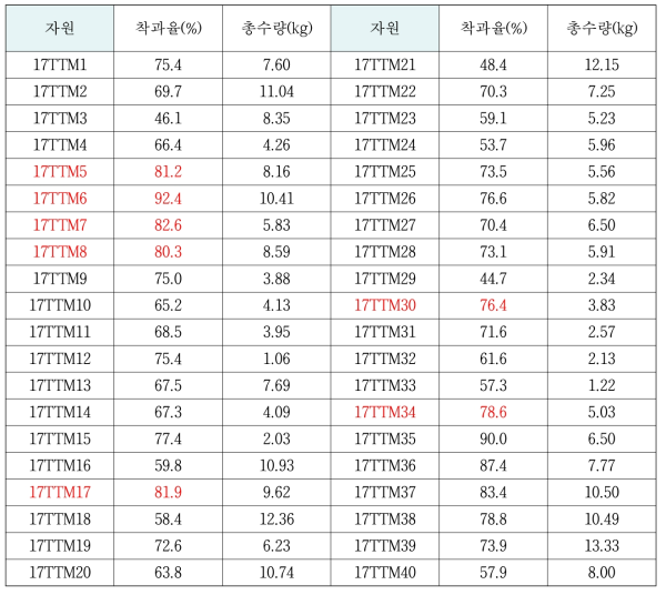 고온기 평가자원의 착과율(%) 및 총수량(kg) 기준 선발결과