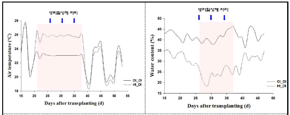 토마토 재배 기간의 기온 및 토양수분 변화