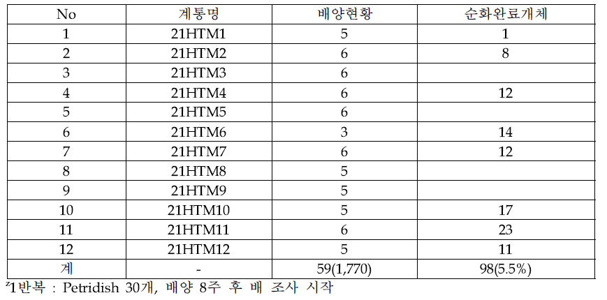 소포자 배양 모식물체 및 배양현황