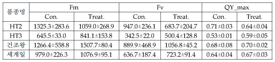 내서성 품종 및 시판품종 고온 처리 후 엽록소 형광 측정