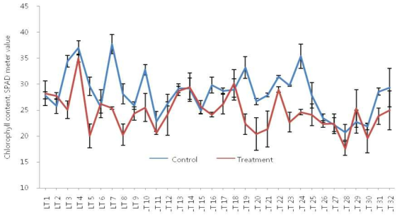 정상관리구(NT)와 고온관리구(HT)의 식물체 엽록소 분포