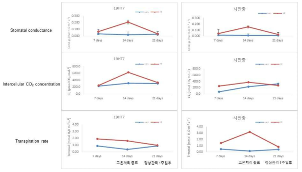 내서성 계통 및 시판종 고온처리에 따른 광합성 특성