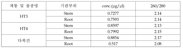 Total RNA 추출 농도