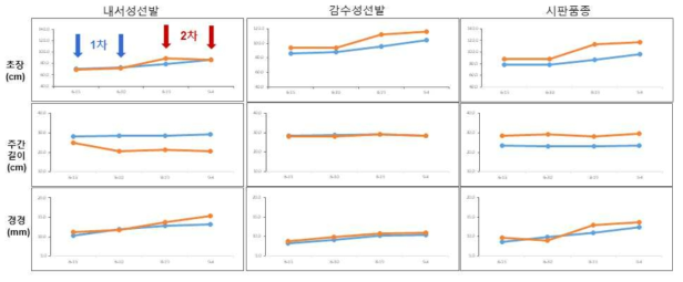 개화기(1차) 및 수확기(2차) 고온처리시 계통별 초장, 주간길이, 경경 변화