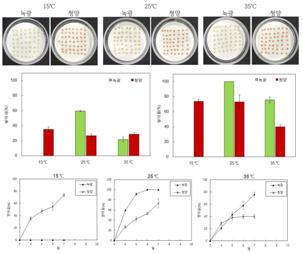 고추 시판종 ‘녹광’과 ‘청양’ 종자 저온, 적온, 고온 발아세 및 발아율 측정