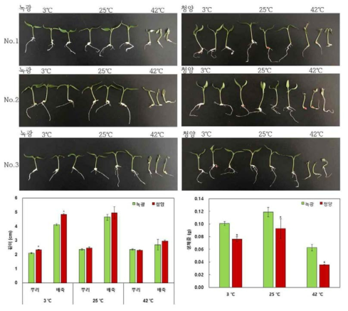 고추 시판종 ‘녹광’과 ‘청양’ 유묘기 저온, 적온, 고온처리후 뿌리, 배축, 생체중 측정